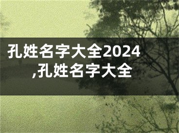 孔姓名字大全2024,孔姓名字大全