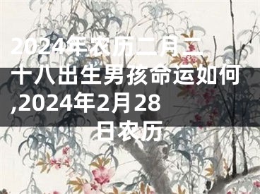 2024年农历二月二十八出生男孩命运如何,2024年2月28日农历
