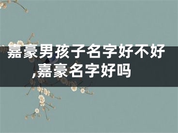 嘉豪男孩子名字好不好,嘉豪名字好吗
