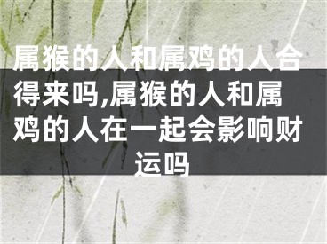 属猴的人和属鸡的人合得来吗,属猴的人和属鸡的人在一起会影响财运吗