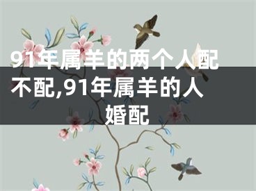 91年属羊的两个人配不配,91年属羊的人婚配