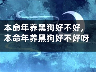 本命年养黑狗好不好,本命年养黑狗好不好呀