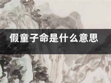 假童子命是什么意思