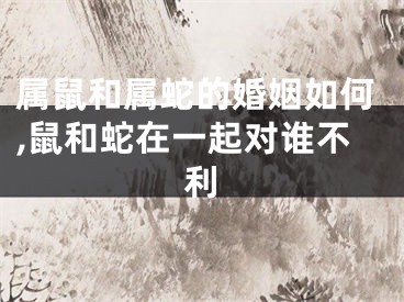 属鼠和属蛇的婚姻如何,鼠和蛇在一起对谁不利