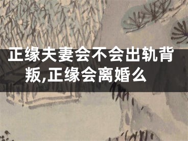 正缘夫妻会不会出轨背叛,正缘会离婚么