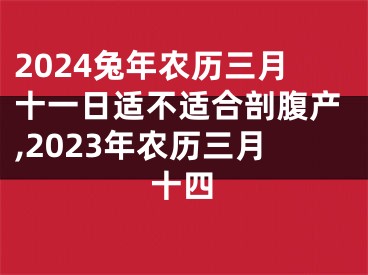 2024兔年农历三月十一日适不适合剖腹产,2023年农历三月十四