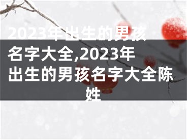 2023年出生的男孩名字大全,2023年出生的男孩名字大全陈姓