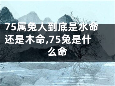 75属兔人到底是水命还是木命,75兔是什么命