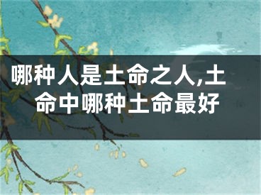 哪种人是土命之人,土命中哪种土命最好