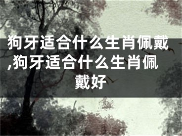 狗牙适合什么生肖佩戴,狗牙适合什么生肖佩戴好