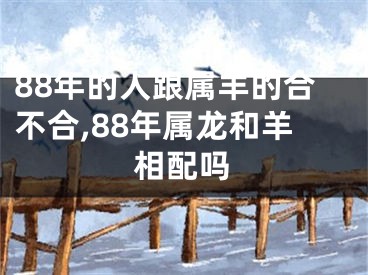 88年的人跟属羊的合不合,88年属龙和羊相配吗