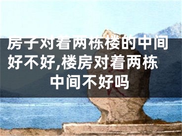 房子对着两栋楼的中间好不好,楼房对着两栋中间不好吗