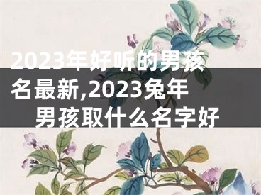 2023年好听的男孩名最新,2023兔年男孩取什么名字好