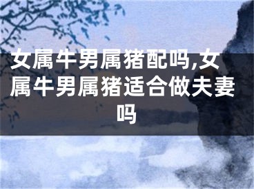 女属牛男属猪配吗,女属牛男属猪适合做夫妻吗