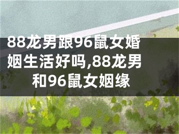 88龙男跟96鼠女婚姻生活好吗,88龙男和96鼠女姻缘
