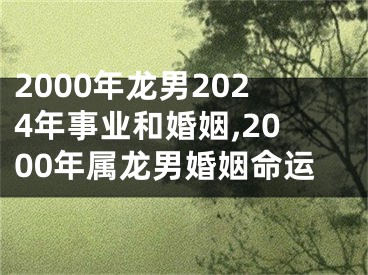2000年龙男2024年事业和婚姻,2000年属龙男婚姻命运
