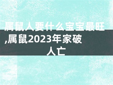属鼠人要什么宝宝最旺,属鼠2023年家破人亡