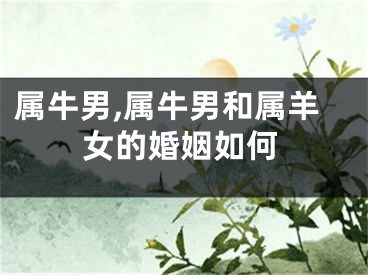 属牛男,属牛男和属羊女的婚姻如何