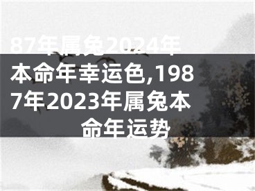 87年属兔2024年本命年幸运色,1987年2023年属兔本命年运势