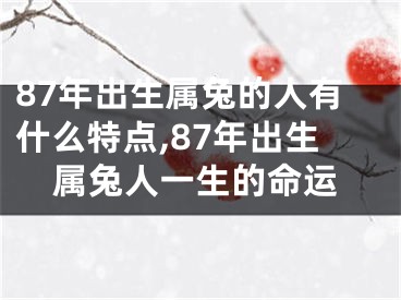 87年出生属兔的人有什么特点,87年出生属兔人一生的命运