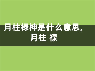 月柱禄神是什么意思,月柱 禄