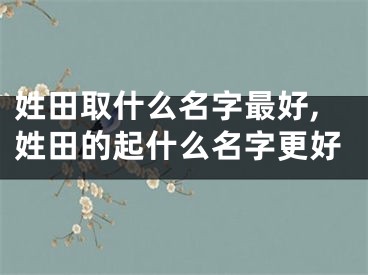 姓田取什么名字最好,姓田的起什么名字更好