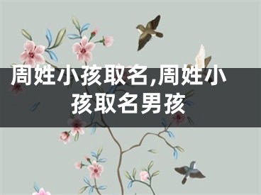 周姓小孩取名,周姓小孩取名男孩