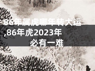 86年属虎哪年转大运,86年虎2023年必有一难