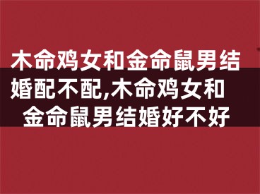 木命鸡女和金命鼠男结婚配不配,木命鸡女和金命鼠男结婚好不好