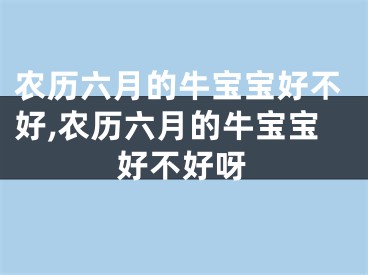 农历六月的牛宝宝好不好,农历六月的牛宝宝好不好呀