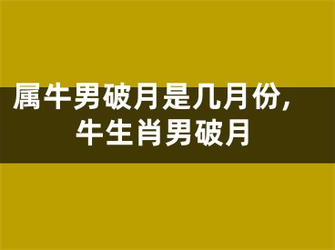 属牛男破月是几月份,牛生肖男破月