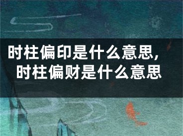 时柱偏印是什么意思,时柱偏财是什么意思