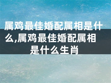 属鸡最佳婚配属相是什么,属鸡最佳婚配属相是什么生肖