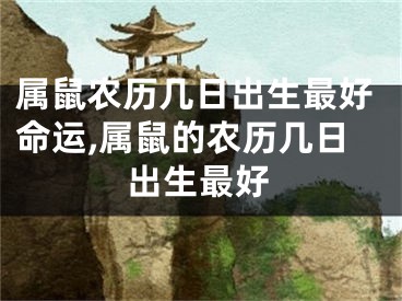 属鼠农历几日出生最好命运,属鼠的农历几日出生最好
