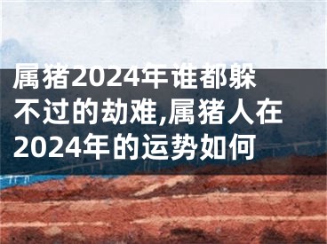属猪2024年谁都躲不过的劫难,属猪人在2024年的运势如何