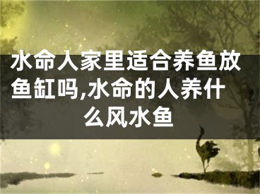 水命人家里适合养鱼放鱼缸吗,水命的人养什么风水鱼