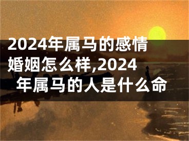 2024年属马的感情婚姻怎么样,2024年属马的人是什么命