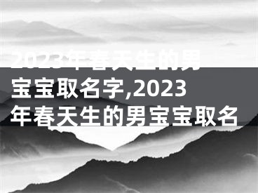 2023年春天生的男宝宝取名字,2023年春天生的男宝宝取名