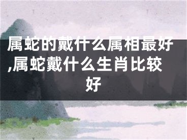 属蛇的戴什么属相最好,属蛇戴什么生肖比较好
