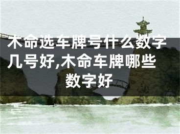 木命选车牌号什么数字几号好,木命车牌哪些数字好