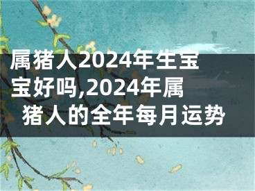 属猪人2024年生宝宝好吗,2024年属猪人的全年每月运势