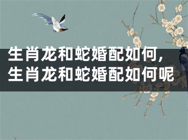 生肖龙和蛇婚配如何,生肖龙和蛇婚配如何呢