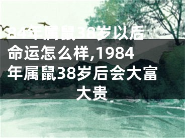 84年属鼠38岁以后命运怎么样,1984年属鼠38岁后会大富大贵