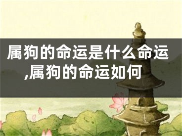 属狗的命运是什么命运,属狗的命运如何