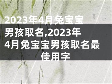 2023年4月兔宝宝男孩取名,2023年4月兔宝宝男孩取名最佳用字