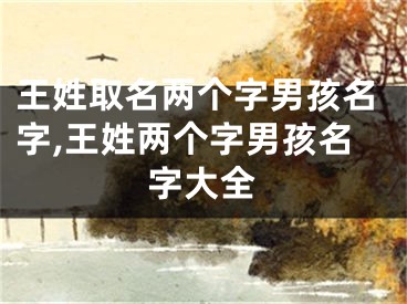王姓取名两个字男孩名字,王姓两个字男孩名字大全