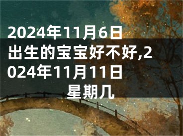 2024年11月6日出生的宝宝好不好,2024年11月11日星期几