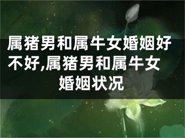 属猪男和属牛女婚姻好不好,属猪男和属牛女婚姻状况