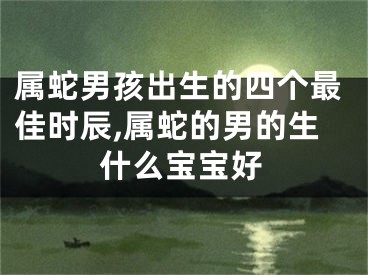 属蛇男孩出生的四个最佳时辰,属蛇的男的生什么宝宝好