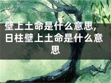 壁上土命是什么意思,日柱壁上土命是什么意思